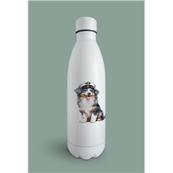 Insulated Bottle  - as 29