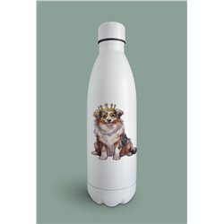 Insulated Bottle  - as 31