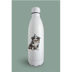 Insulated Bottle  - as 33