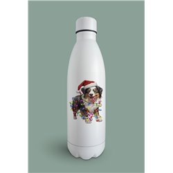 Insulated Bottle  - as 34