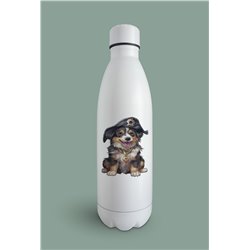 Insulated Bottle  - as 37