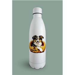 Insulated Bottle  - as 39