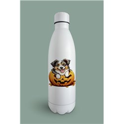 Insulated Bottle  - as 40