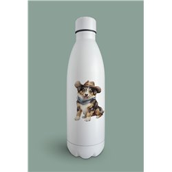 Insulated Bottle  - as 41