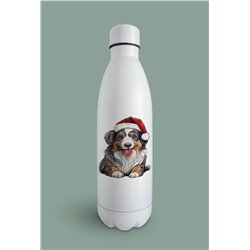 Insulated Bottle  - as 43