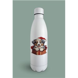 Insulated Bottle  - as 44