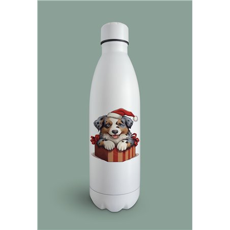 Insulated Bottle  - as 44