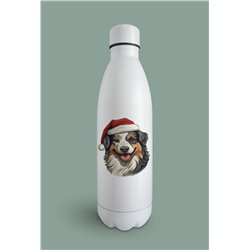 Insulated Bottle  - as 45
