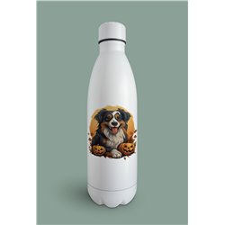 Insulated Bottle  - as 46
