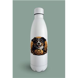 Insulated Bottle  - as 47