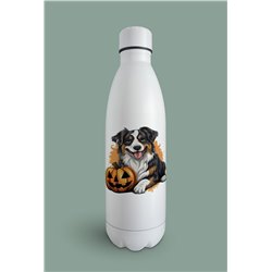 Insulated Bottle  - as 48