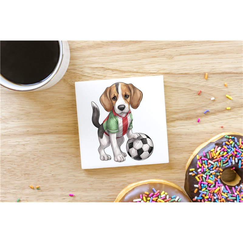 Ceramic Tile Coaster/ Trivet - be 30