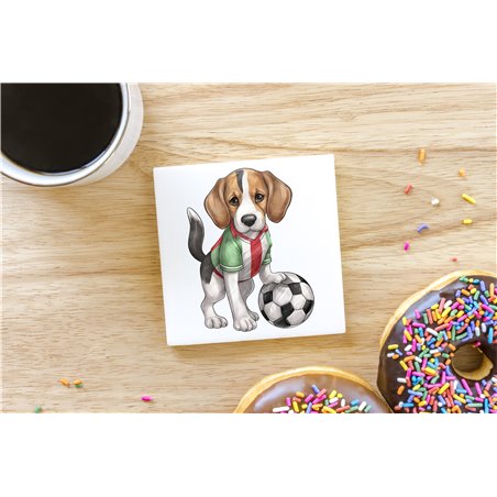 Ceramic Tile Coaster/ Trivet - be 30