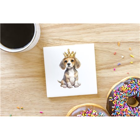 Ceramic Tile Coaster/ Trivet - be 34