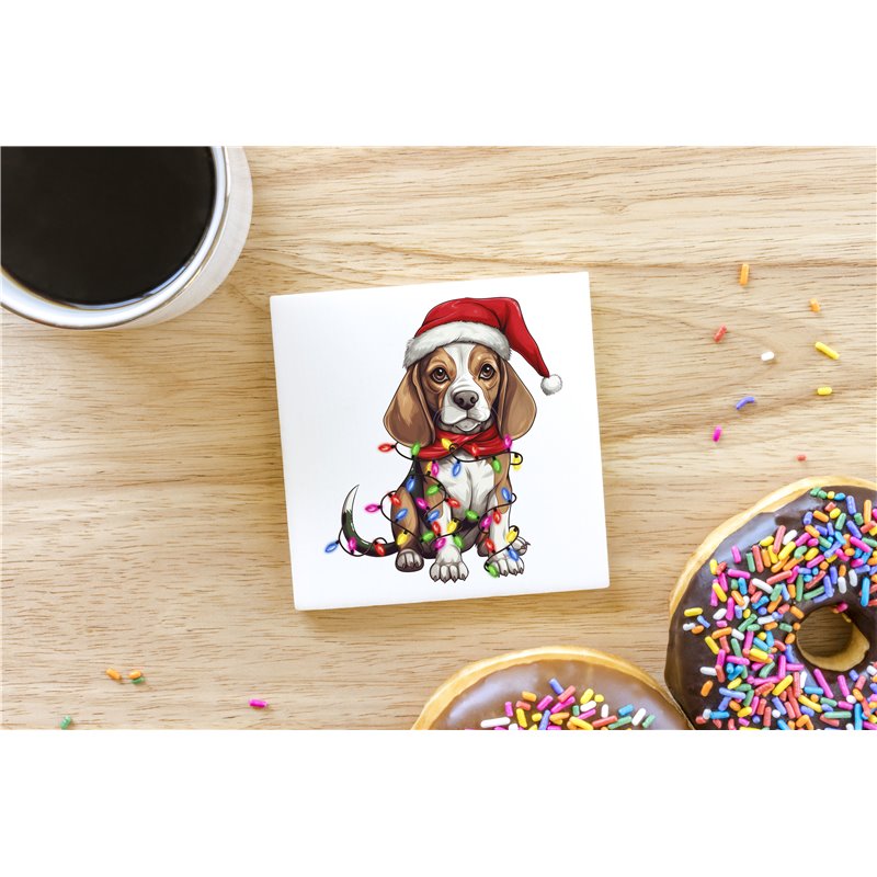 Ceramic Tile Coaster/ Trivet - be 37