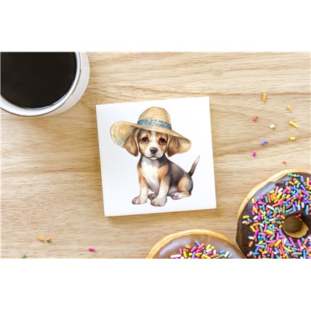 Ceramic Tile Coaster/ Trivet - be 41