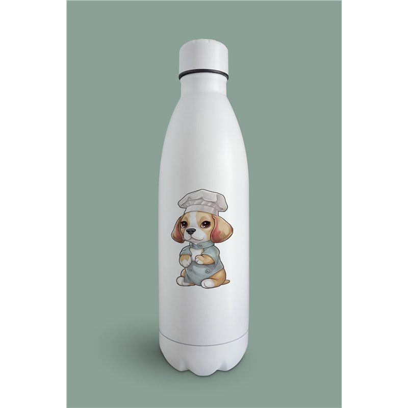 Insulated Bottle  - be 1