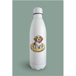Insulated Bottle  - be 6