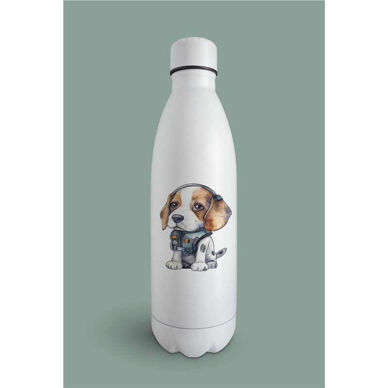 Insulated Bottle  - be 10