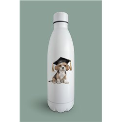 Insulated Bottle  - be 11