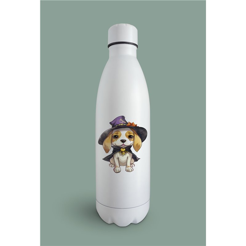 Insulated Bottle  - be 12