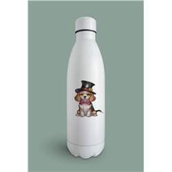 Insulated Bottle  - be 13