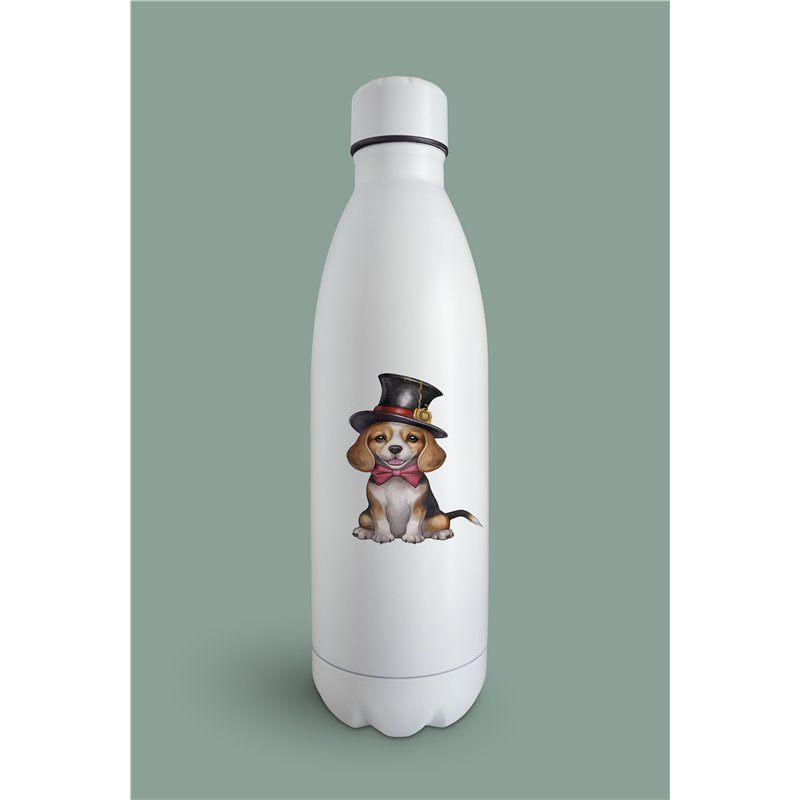 Insulated Bottle  - be 13
