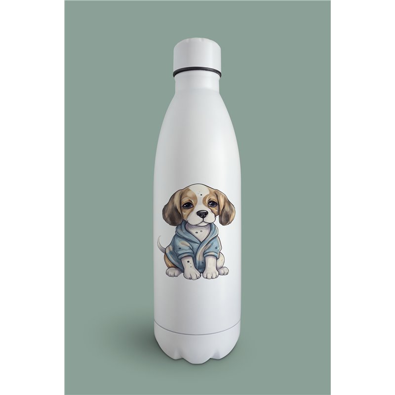Insulated Bottle  - be 14