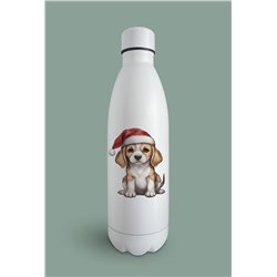 Insulated Bottle  - be 16
