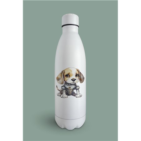 Insulated Bottle  - be 23
