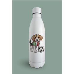 Insulated Bottle  - be 30
