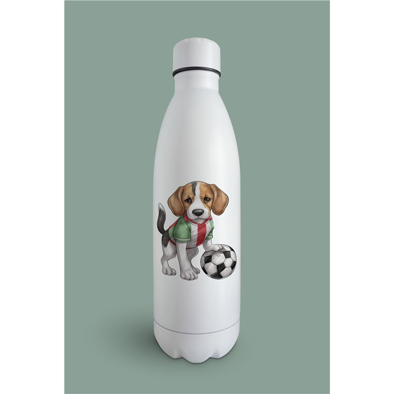 Insulated Bottle  - be 30