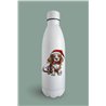 Insulated Bottle  - be 37