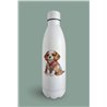 Insulated Bottle  - be 39
