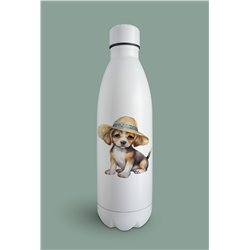 Insulated Bottle  - be 41