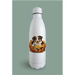 Insulated Bottle  - be 42