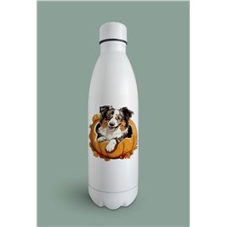 Insulated Bottle  - be 43
