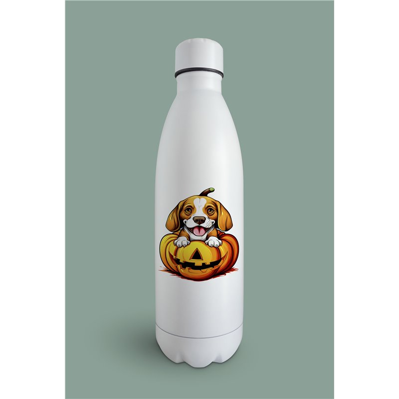 Insulated Bottle  - be 45