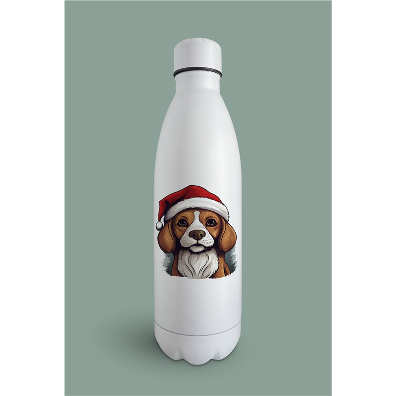 Insulated Bottle  - be 47