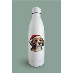 Insulated Bottle  - be 48