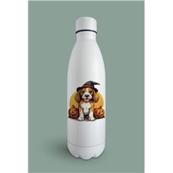 Insulated Bottle  - be 49