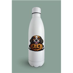 Insulated Bottle  - be 50