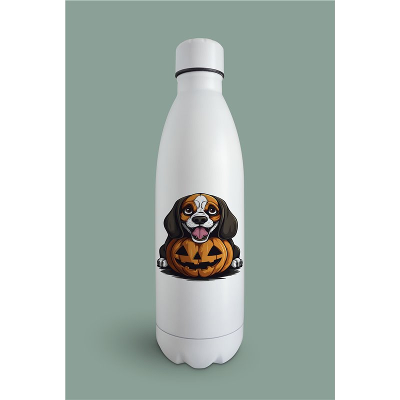 Insulated Bottle  - be 50