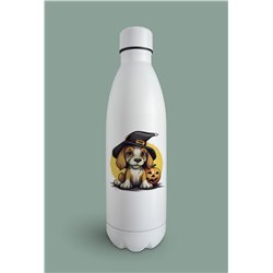 Insulated Bottle  - be 51