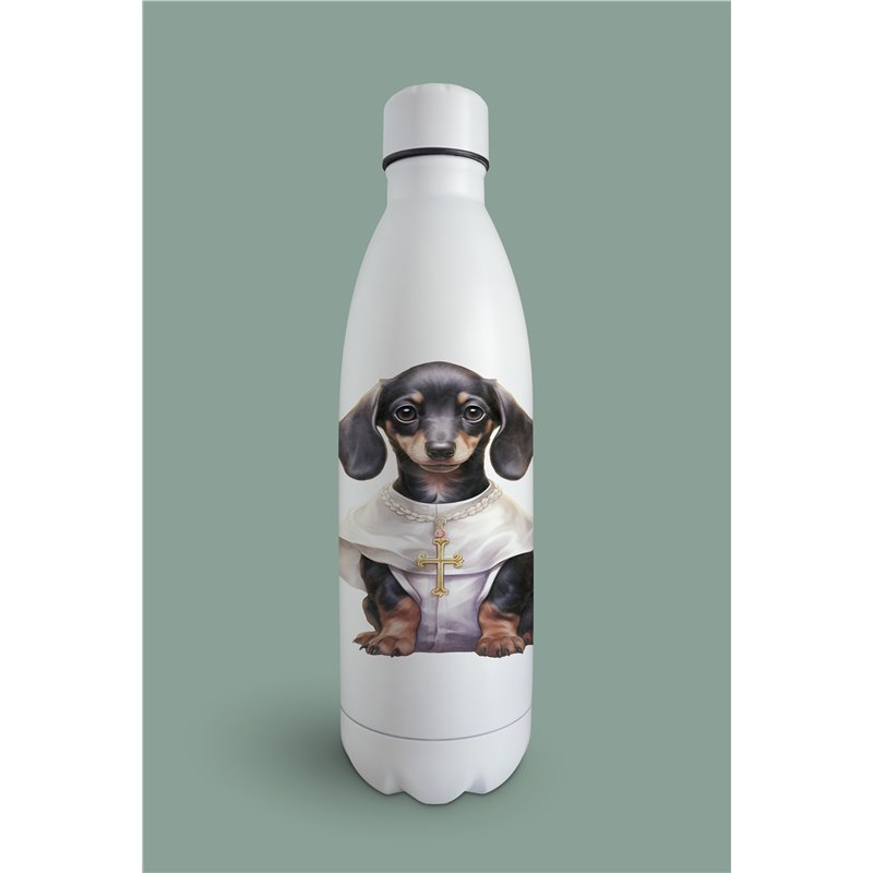 Insulated Bottle  - da 3