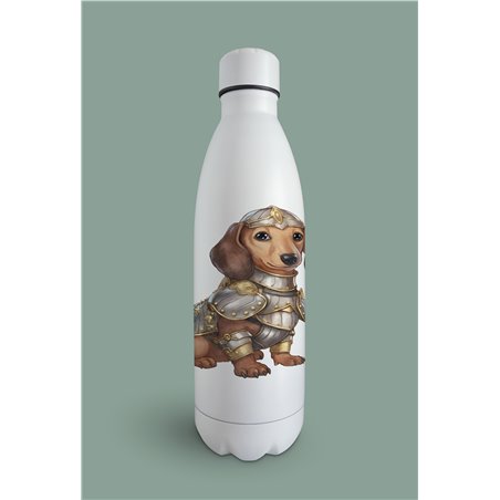 Insulated Bottle  - da 4