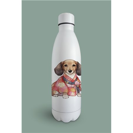 Insulated Bottle  - da 5
