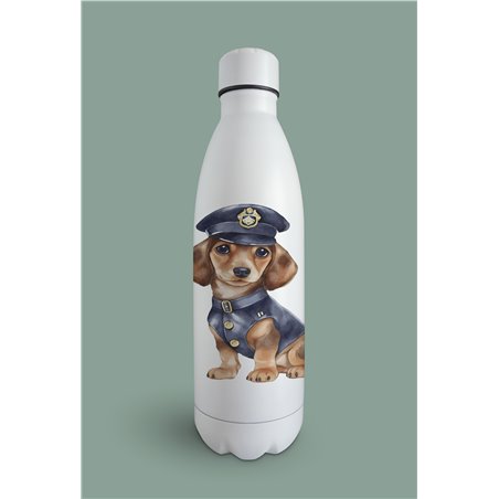 Insulated Bottle  - da 6