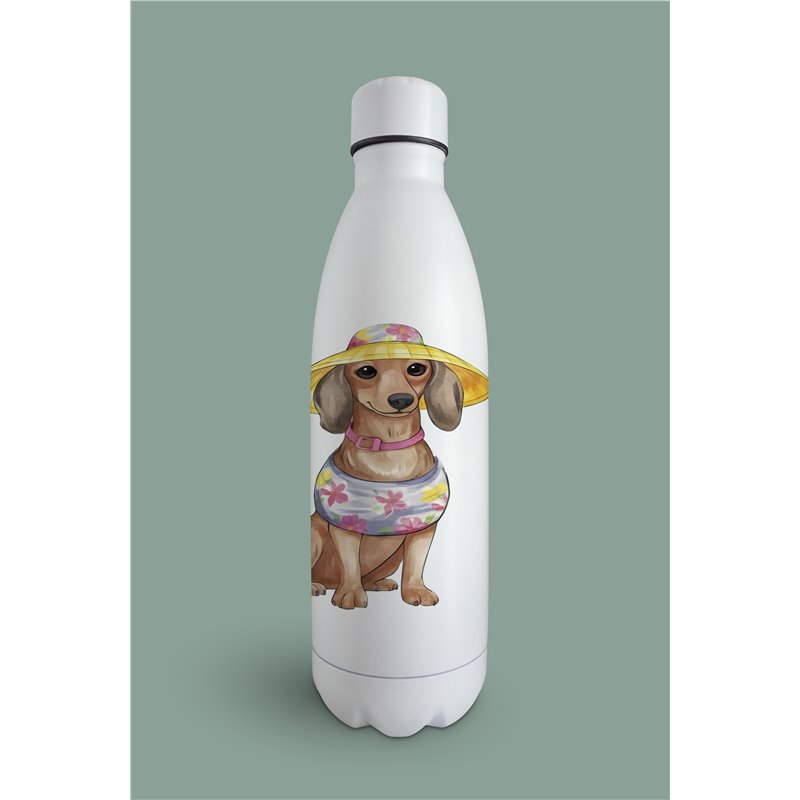 Insulated Bottle  - da 7