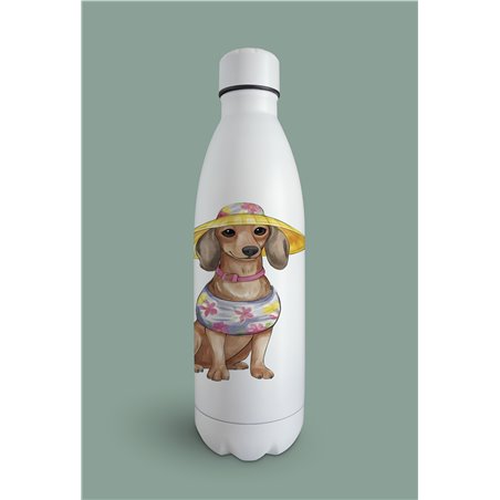 Insulated Bottle  - da 7